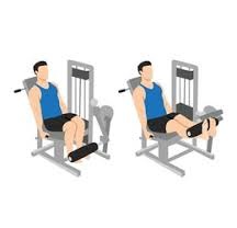 Extensiones cuádriceps